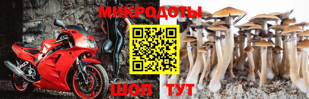 Старая Купавна  цены   Псилоцибиновые грибы ЛСД  Вход с VPN  Псилоцибиновые грибы GOLDEN TEACHER 