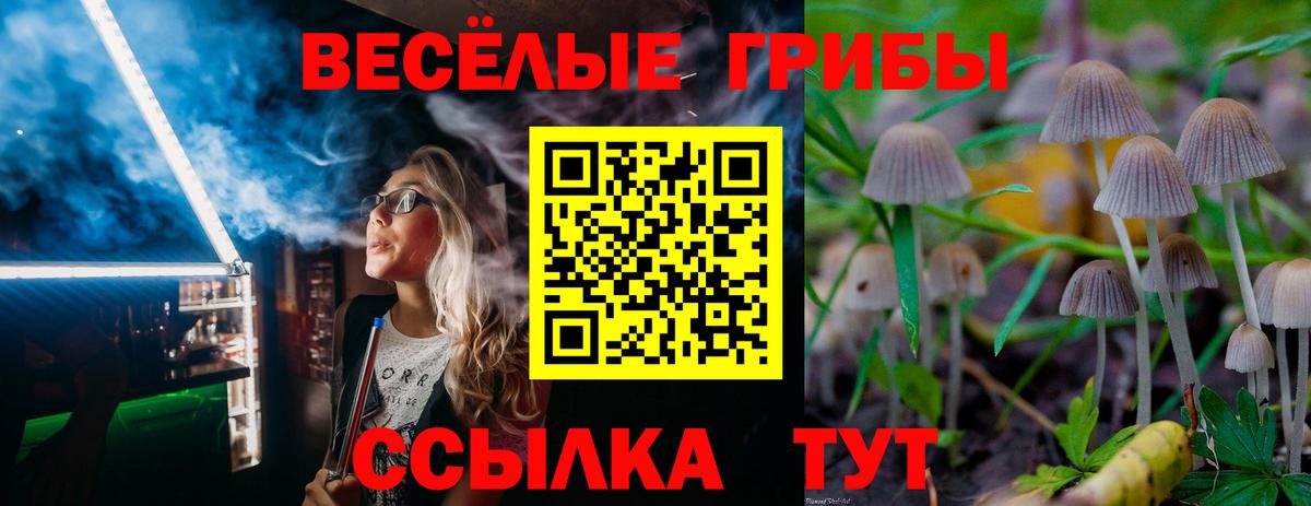 Псилоцибиновые грибы Magic Shrooms Старая Купавна