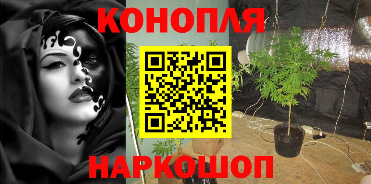 Канабис гибрид Старая Купавна